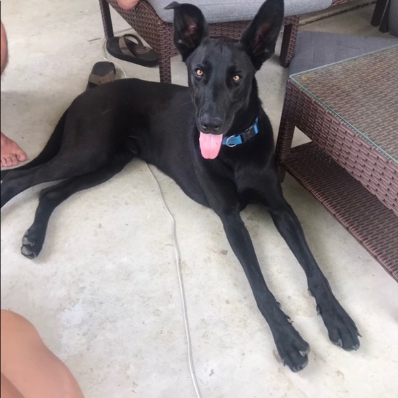 Meet your Posher, April - Picture 4 of 5